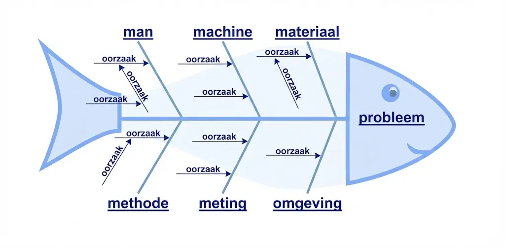 Ishikawa visgraat diagram